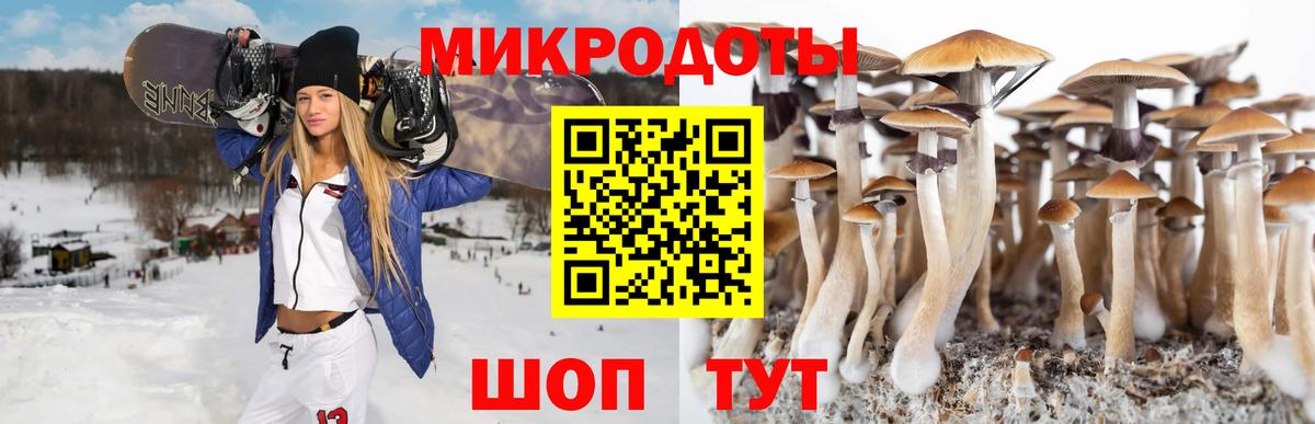 Пушкино  Галлюциногенные грибы Cubensis  Вход с VPN 